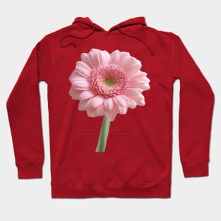 Fresh, single gerbera Hoodie